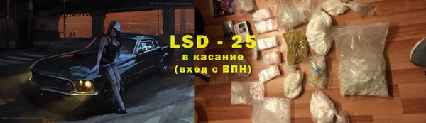 стафф Алзамай
