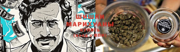 PSILOCYBIN Алексин