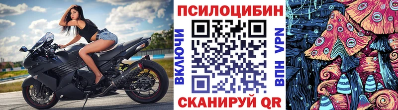 Галлюциногенные грибы Cubensis  Микунь 